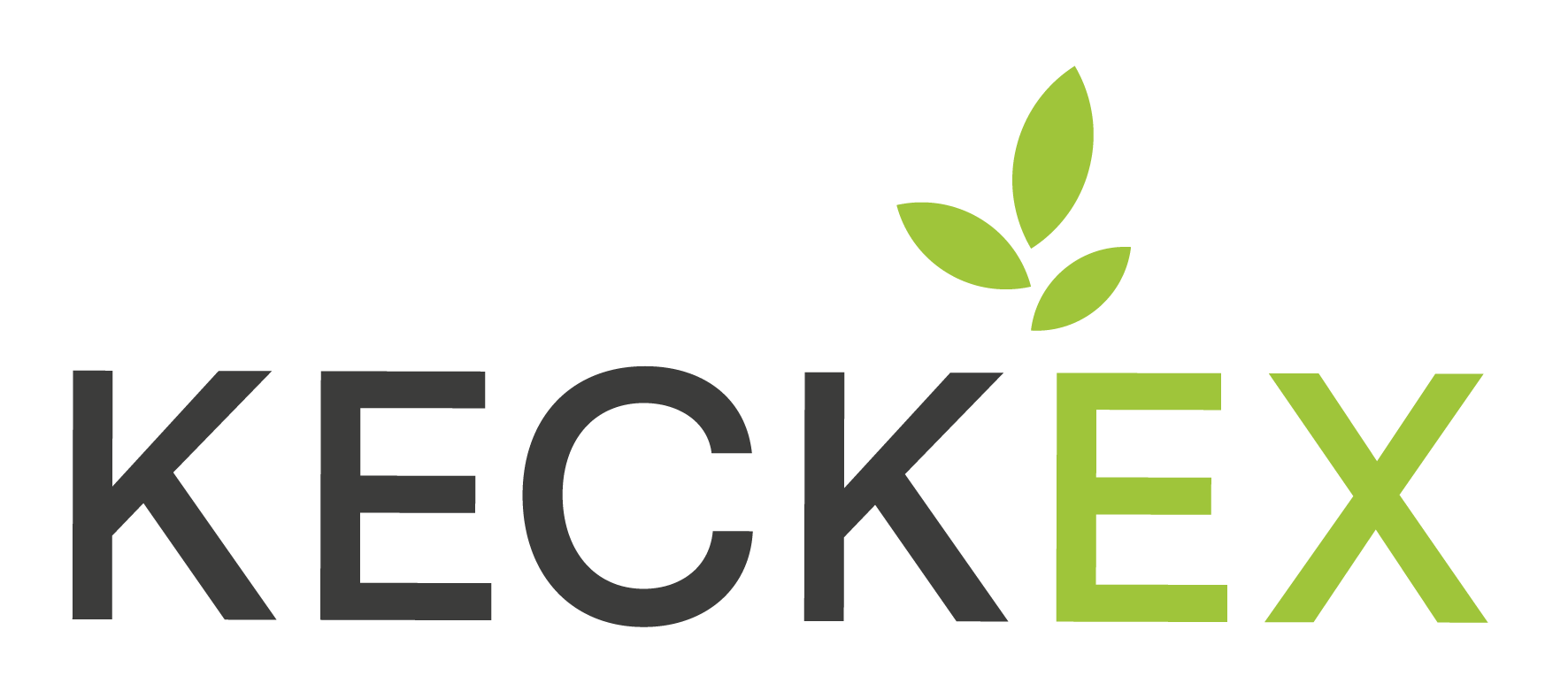 Keckex.swiss